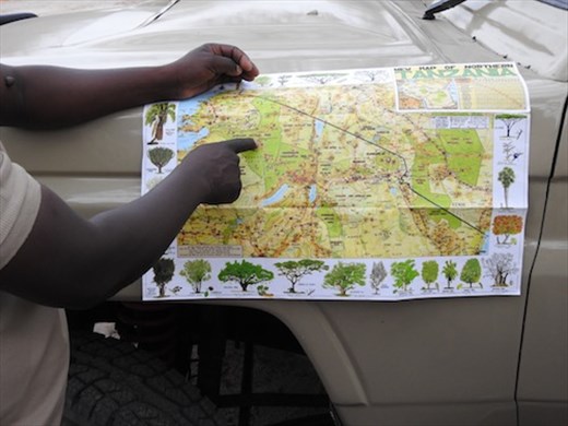 Omari traces the wildebeeste migration route, Serengeti