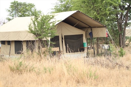 Typical safari tent