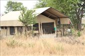 Typical safari tent: by vagabonds3, Views[147]