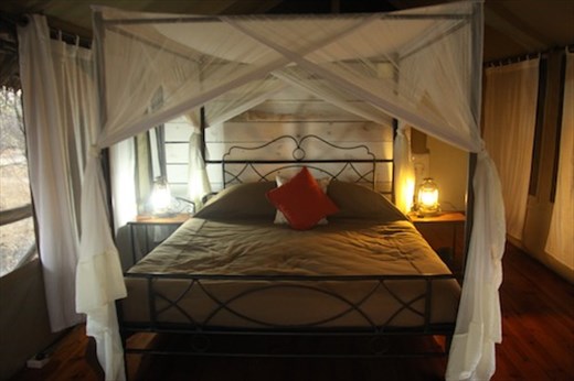 Hemingway would approve, , Tarangiri Safari Camp