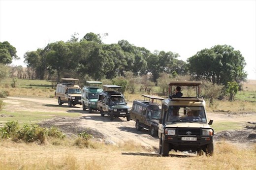 Heading for the wildebeeste crossing, Serengeti NP