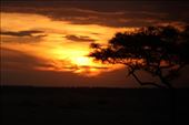Serengeti sunset: by vagabonds3, Views[331]