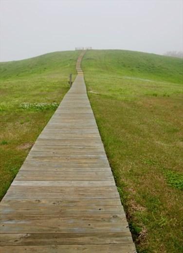 Path to the top of Mound A, Poverty Point