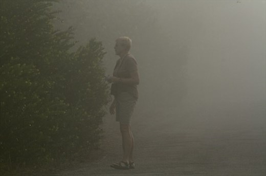 Birding in the fog, JW Corbett NWR