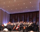 Handel's Messiah: by vagabonds3, Views[348]