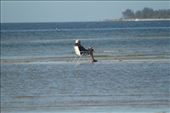 Retired, Bunche Preserve, San Carlos Beach: by vagabonds3, Views[746]