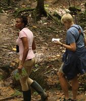 Pamela and Connie, Millet Nature Reserve, St. Lucia: by vagabonds3, Views[725]