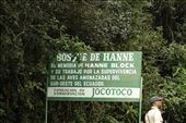 Bosque de Hanne, a legacy to Hanna Block: by vagabonds3, Views[182]