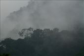 Cloud forest: by vagabonds3, Views[217]