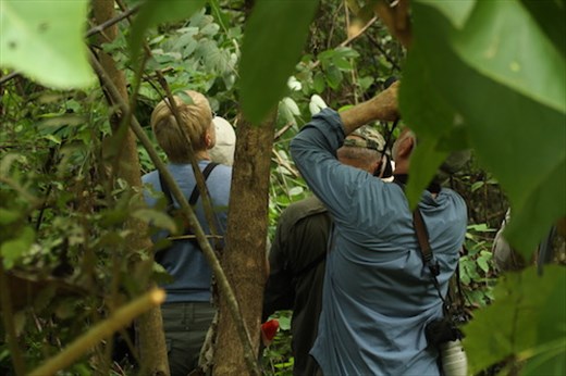 Squeezed in for a look