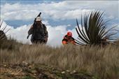 Dusan and Bernardino at 12,000 ft, Cerro Arcos: by vagabonds3, Views[319]