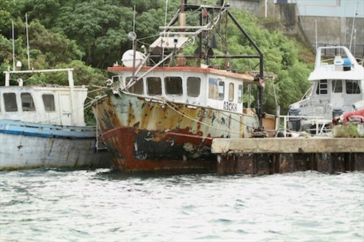 Harbor, Neiafu, Tonga