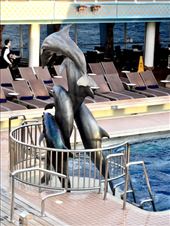 Poolside Dolphins: by vagabonds3, Views[365]