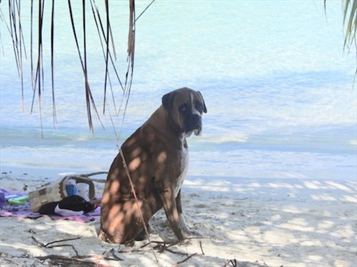 Island life, Fakarava
