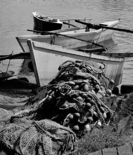 Fishing boats, Papeete