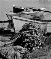 Fishing boats, Papeete: by vagabonds3, Views[210]