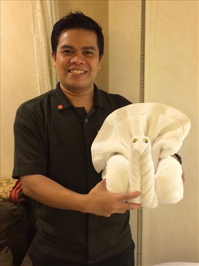 Aziz with towel art