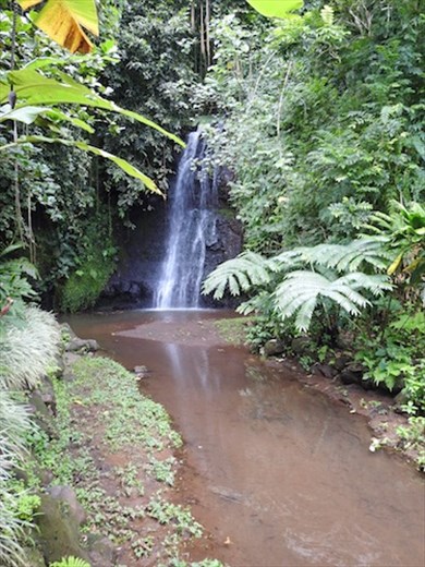 Botanic Garden, Papeete