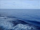 Calm seas in the Intertropical Convergence Zone aka the Doldrums: by vagabonds3, Views[152]