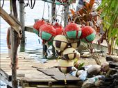 Fishermen's floats, Vaitape Bora Bora: by vagabonds3, Views[285]