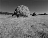 South Dakota haystacks: by vagabonds3, Views[309]