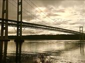 Tacoma Narrows Bridge: by vagabonds3, Views[227]