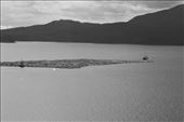 Log raft, somewhere in British Columbia: by vagabonds3, Views[321]