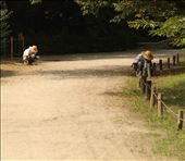 Keeping up appearances, Ritsurin Garden, Takamatsu: by vagabonds3, Views[351]