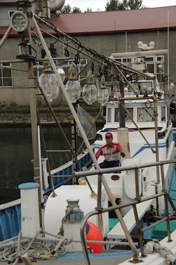 Squid fishing is big business in Otaru