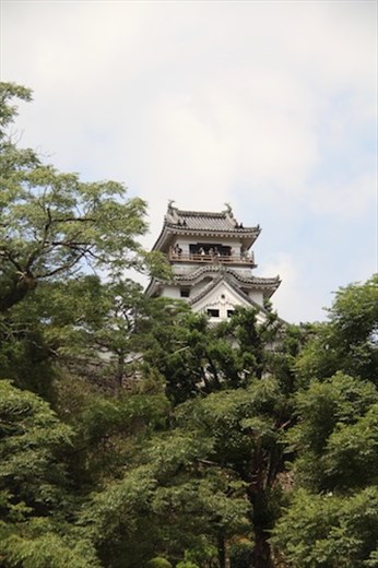 Climbing to Kochi Castle