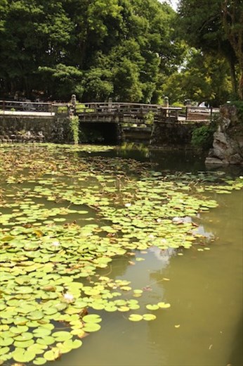 Kochi Castle moat