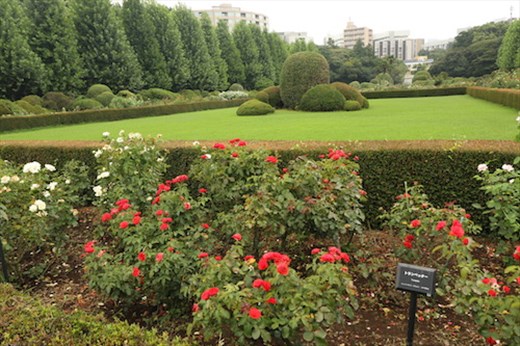 French Garden, Shinjuku Gyoen National Garden