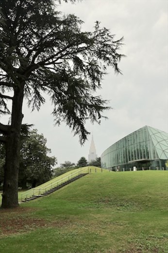 Shinjuku Gyoen National Garden and greenhouse