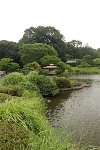 Japanese Garden, Shinjuku Gyoen National Garden