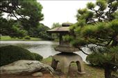 Japanese Garden, Shinjuku Gyoen National Garden: by vagabonds3, Views[1009]