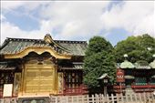 Toshogu Shrine: by vagabonds3, Views[188]
