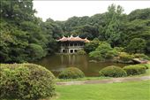 Shinjuku Gyoen National Garden: by vagabonds3, Views[85]