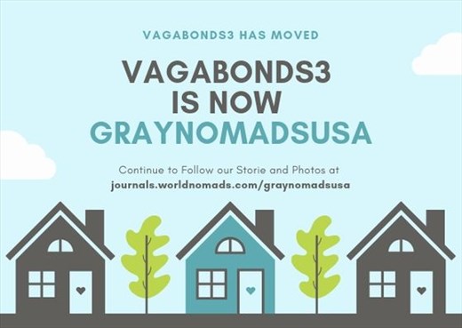 We've Moved . . . Again!