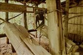 Cutting lumber by hand, Hida Folk Village: by vagabonds3, Views[320]
