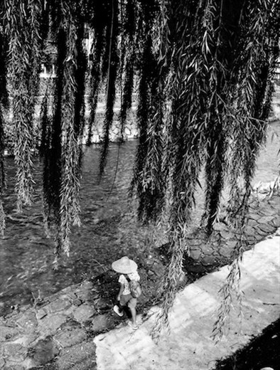 Boy under Willow Tree, Takayama