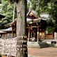 Prayers at Sakurayama Hachimangu Shrine: by vagabonds3, Views[305]