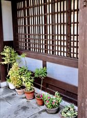 Typical Takayama: by vagabonds3, Views[300]