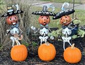 Halloween: by vagabonds3, Views[69]