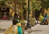 Tapada Limeña, Covered Women of Lima: by vagabonds3, Views[238]