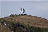 Albatross Sculpture, Cape Horn National Park: by vagabonds3, Views[263]