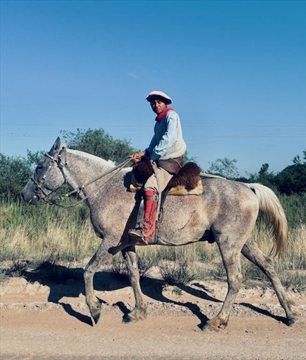 A real Gaucho at work, road from Laguna Iberá
