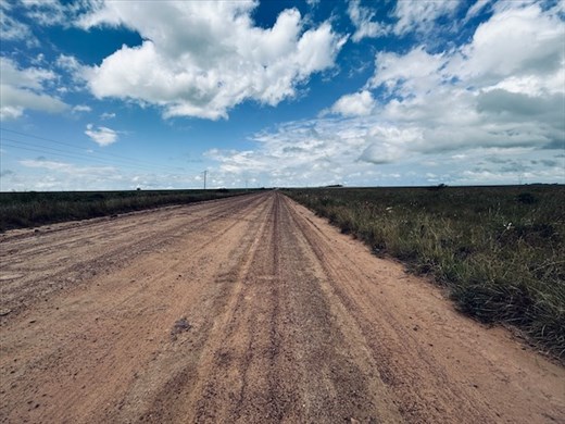 The long road to Iberá