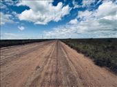 The long road to Iberá: by vagabonds3, Views[245]
