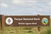 Iberá National Park, home of the Strangetailed Tyrant: by vagabonds3, Views[181]
