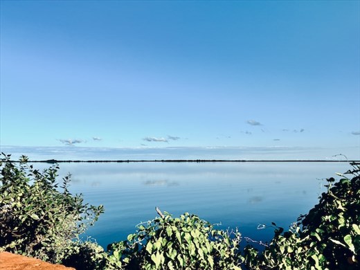Laguna Iberá—Shiny Water